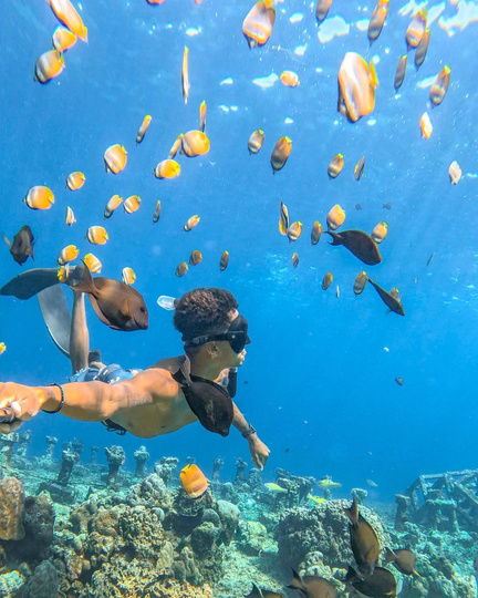 underwater tropical fish, best snorkeling bali, snorkeling tour Amed, Amed coral reef snorkeling, free diving amed