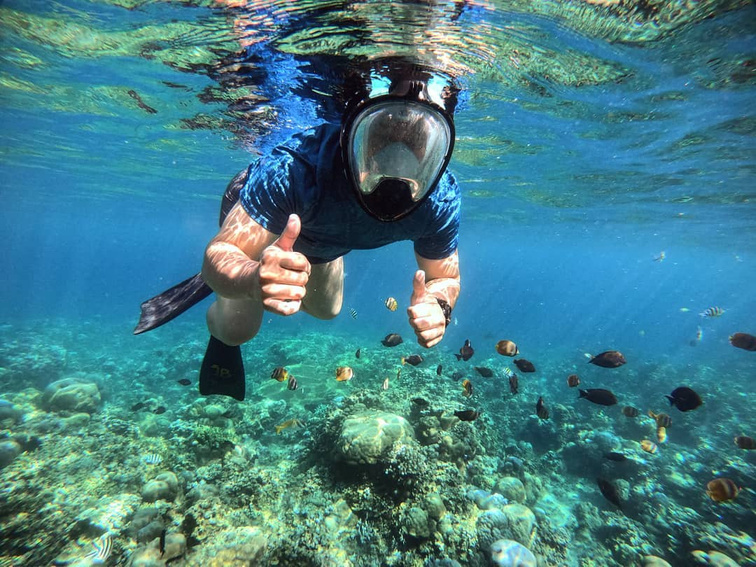 snorkeling adventure amed bali, jemeluk snorkelling, turtle snorkeling, turtle point amed, underwater temple amed, coral reef amed, bali coral reef, bali best snorkeling
